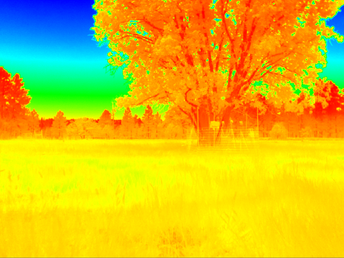 Thermal Image