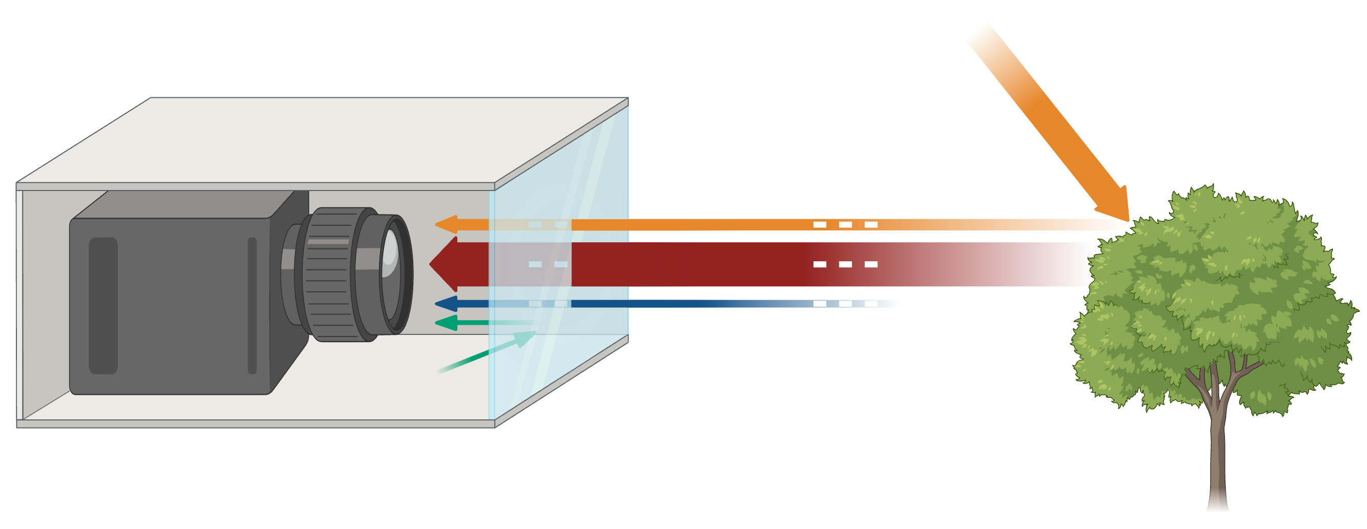 Post-Processing Schematic
